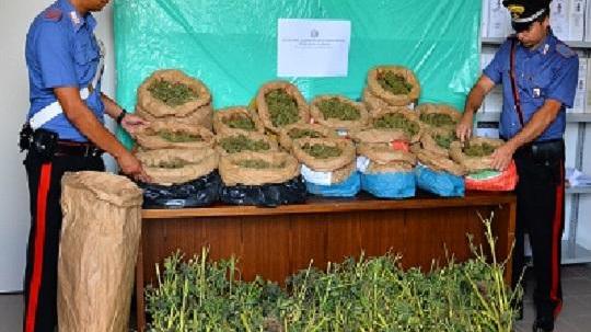Bonorva, innaffiano 500 piante di marijuana: arrestati un 75enne e un 62enne