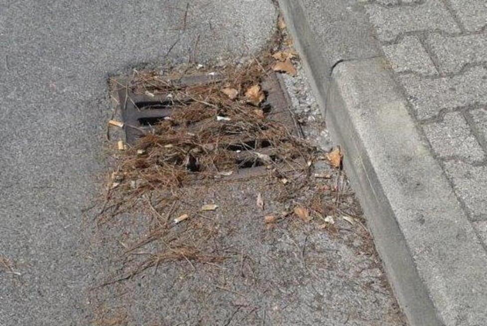 I cittadini adottino le caditoie 