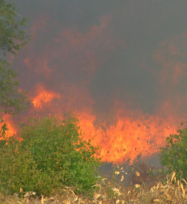Pili denuncia: «Dietro i roghi il racket che vuole i terreni»
