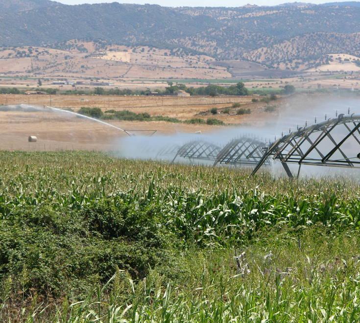  Regione e consorzi insieme contro la crisi 