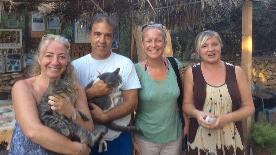 Non solo gatti, all’Oasi felina Save the dogs