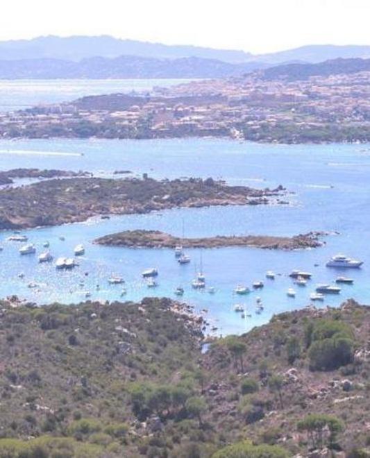 I precari del Parco: «Fateci lavorare almeno tre mesi» 