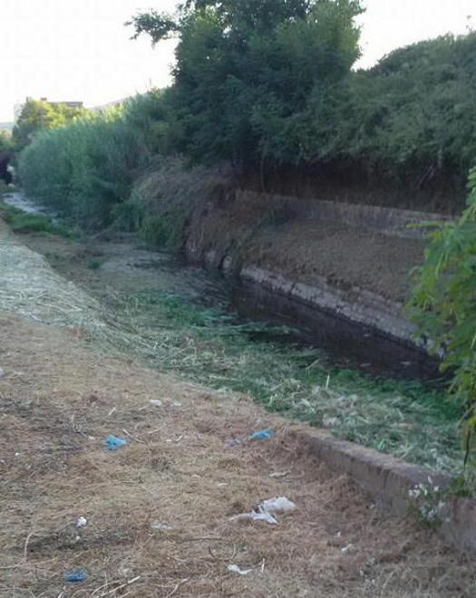 Sfalciano gli argini ma erba e arbusti li gettano in acqua 