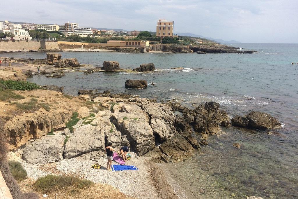 Alga tossica vicino al Las Tronas, in corso analisi dell’Arpa 