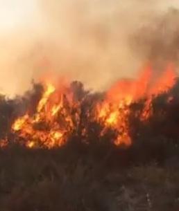 Paura per un incendio alla Pila 