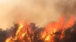 Paura per un incendio alla Pila