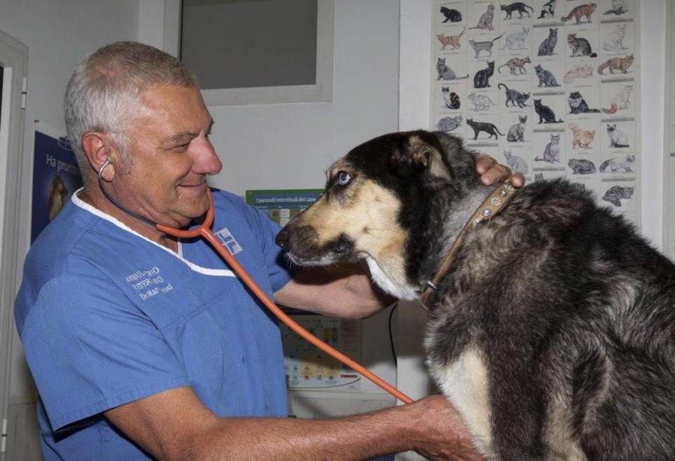 Servizi veterinari: cambia l’orario 