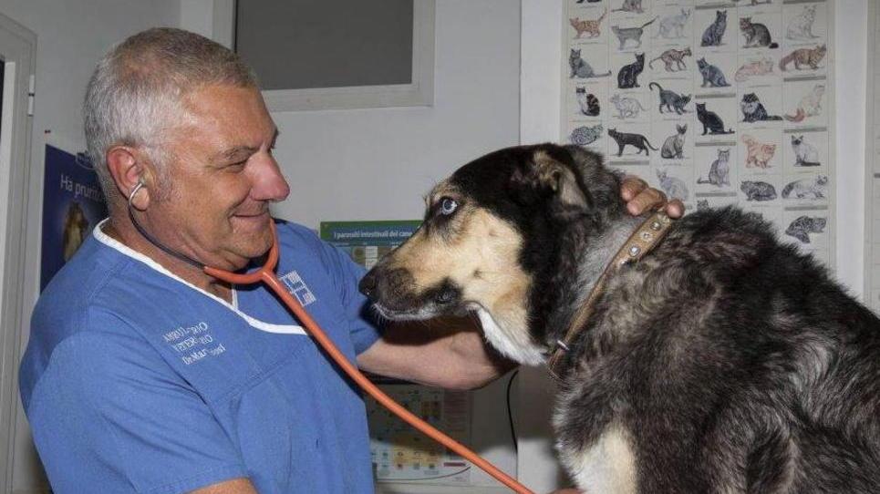 Servizi veterinari: cambia l’orario