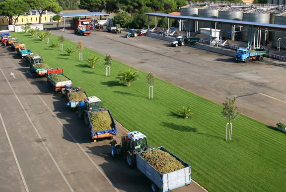 Ad Alghero un clima ottimale 