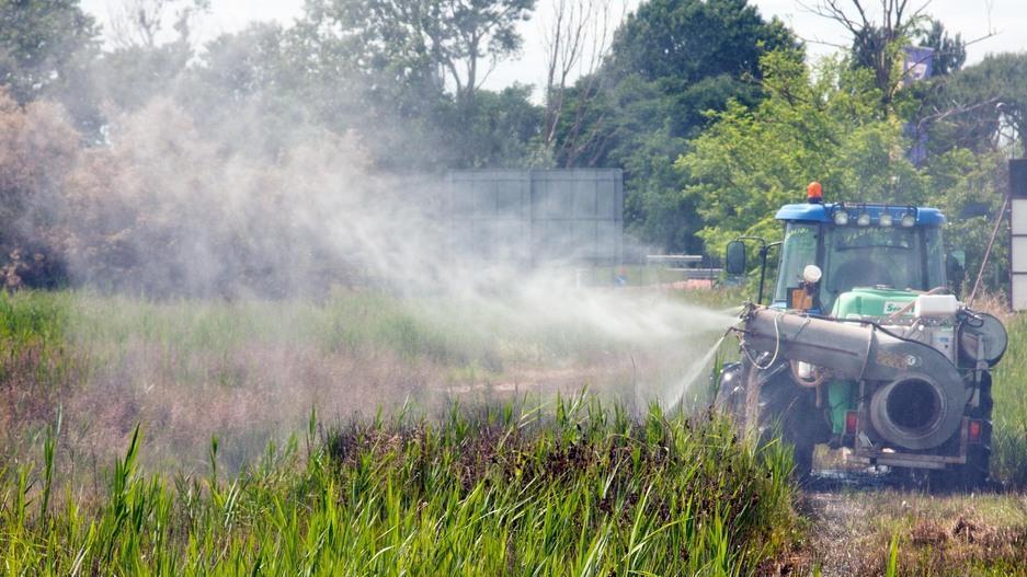 West Nile, raddoppiati gli sciami di zanzare infetti