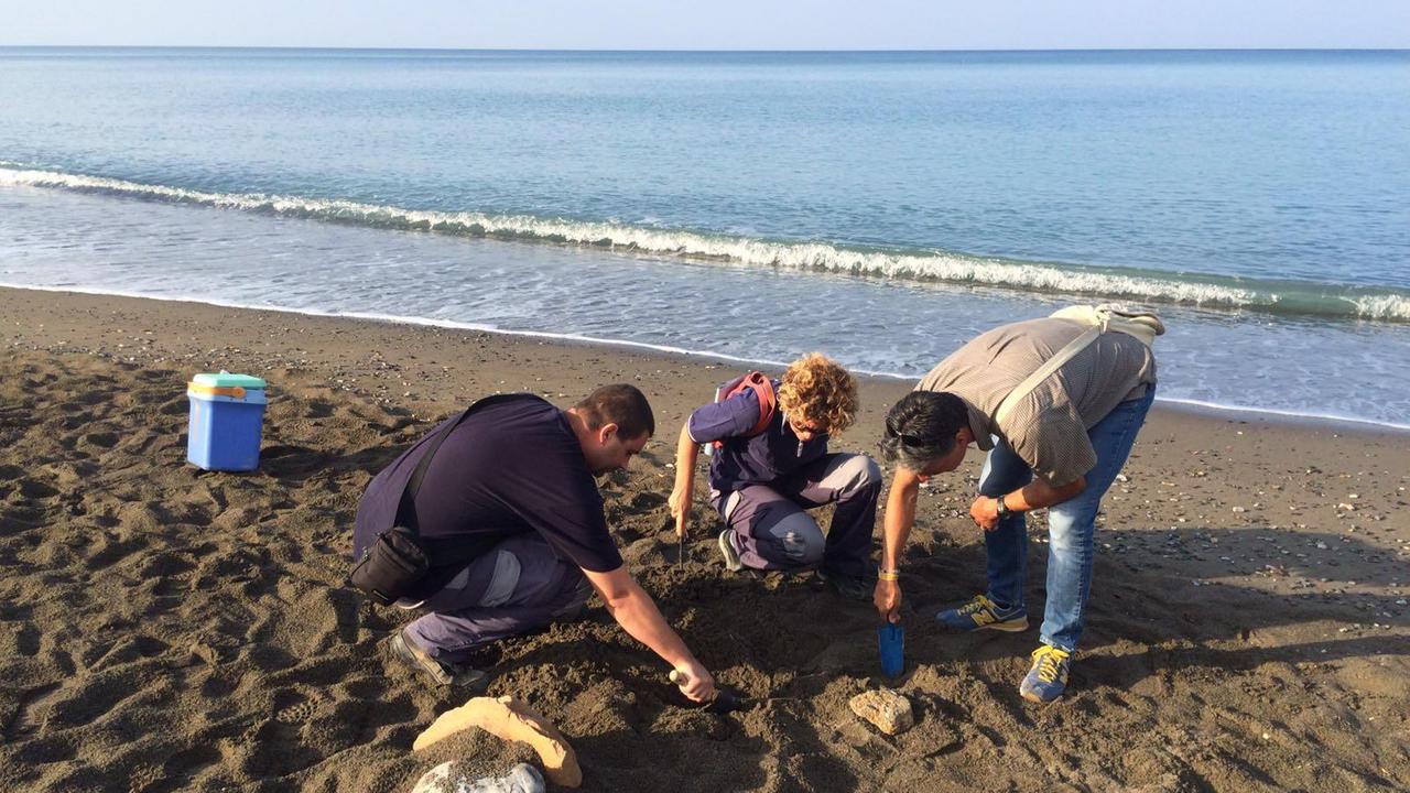 I tecnici dell'Arpat sulla spiaggia di Marina di Cecina