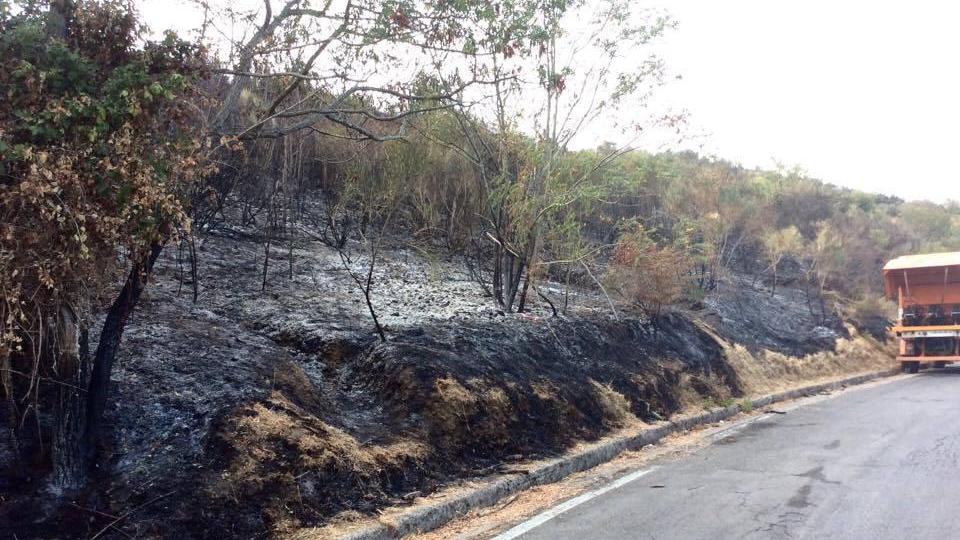 La vegetazione bruciata alla Pila