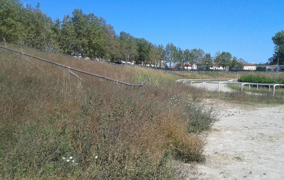 Mancano i soldi, la Buca resta una savana 