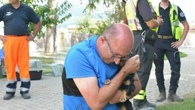 Crocchette e scatolette per cani e gatti rimasti orfani: la colletta dell’Enpa