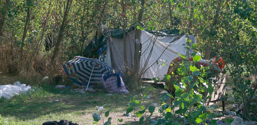 Modena, accampati nella boscaglia in viale Montecuccoli 