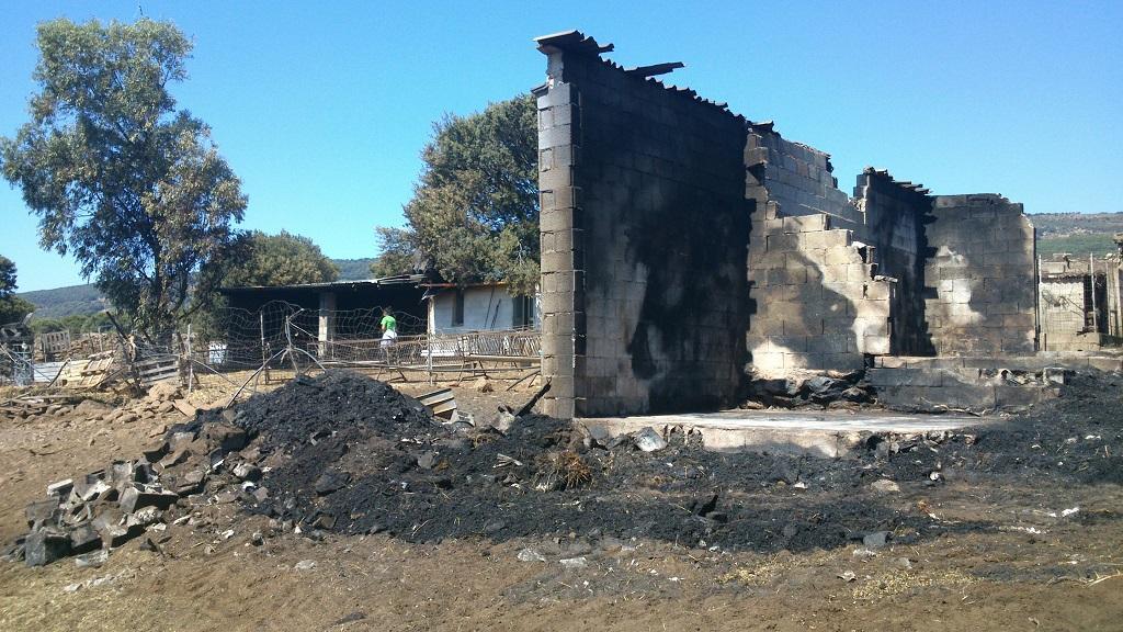 Il fienile distrutto da un incendio doloso nelle campagne di Seneghe (foto Marongiu)
