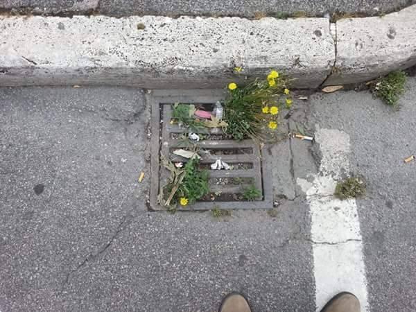 Un tombino intasato a Grosseto