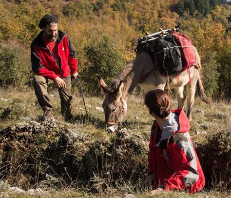 Nei boschi di Prata si va a spasso con gli asinelli 