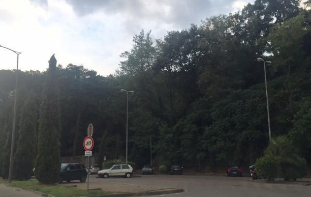 Via i furgoni in sosta da molti mesi al parco del Bargo 