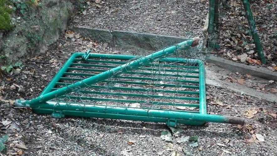 Individuati i vandali dei giardini Bucalossi