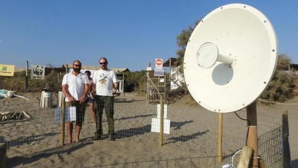 Stanno per sbucare le tartarughine Via al monitoraggio