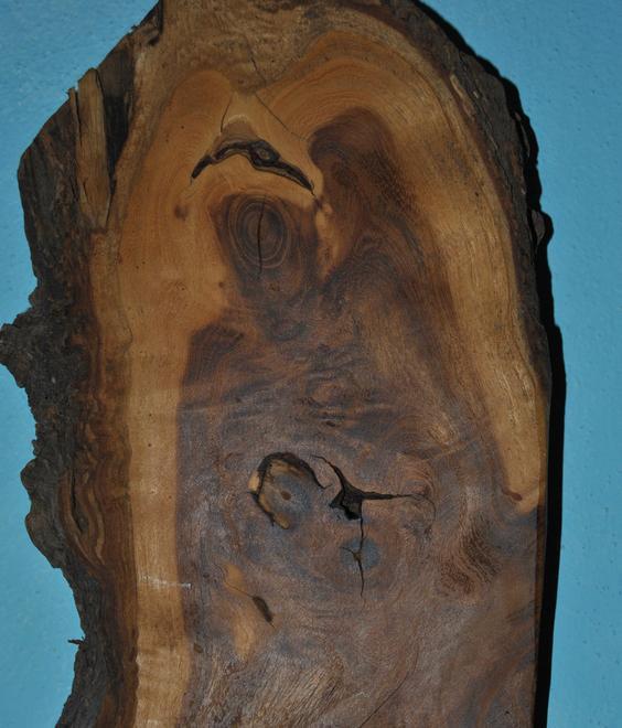 Eligio rivela le belle forme del legno 