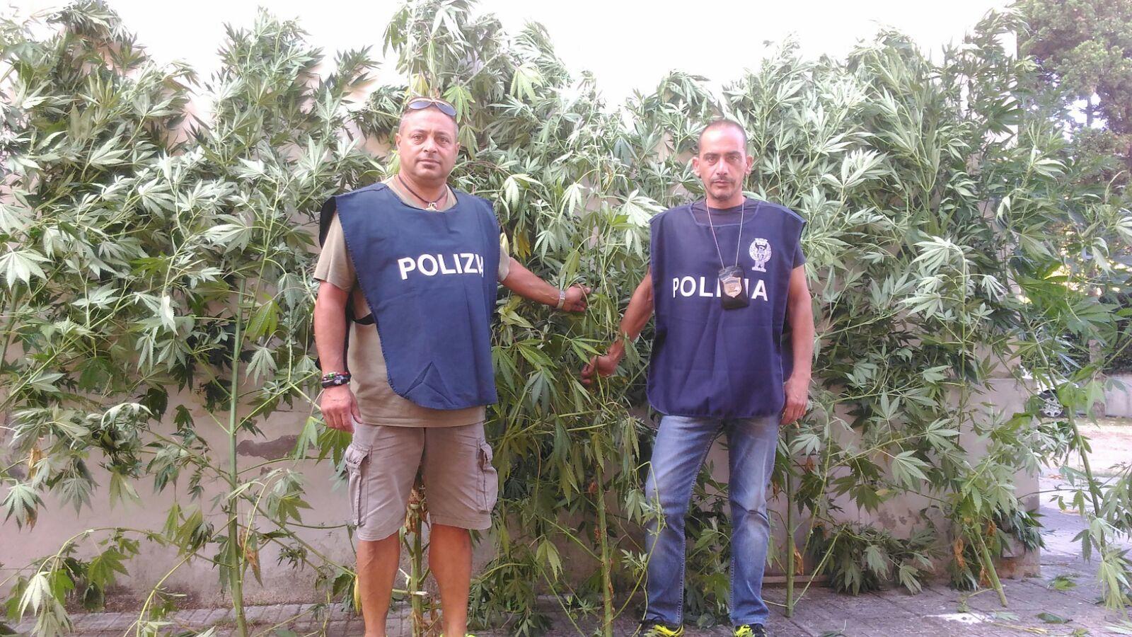 Gli agenti e le piante sequestrate