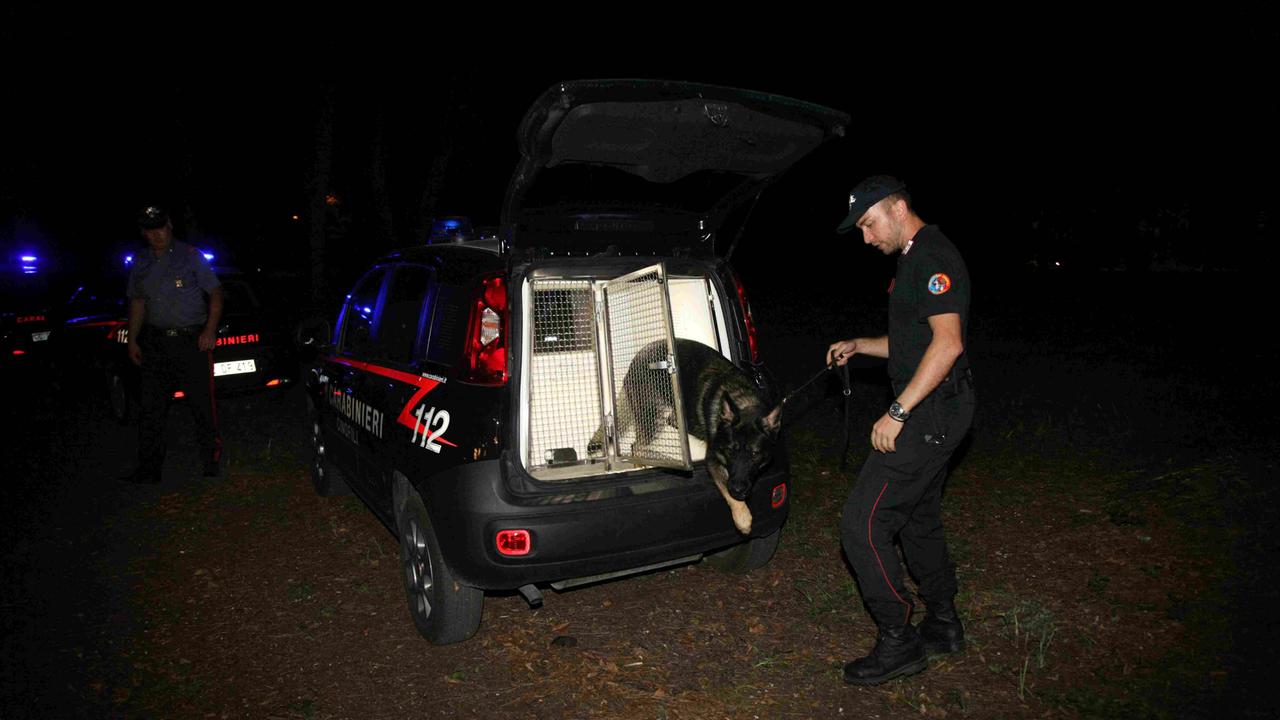 I carabinieri in azione in pineta di Ponente