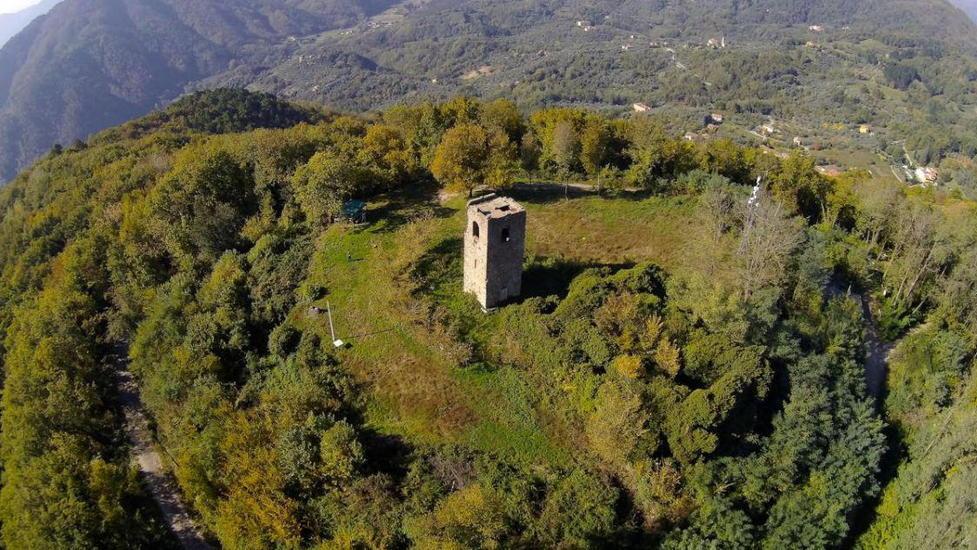 Un palo alto nove metri in arrivo dentro un paesaggio da cartolina