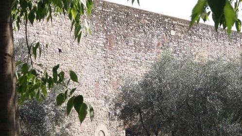 Nuovi lampioni nei giardini di via Curtatone poi toccherà a via Soffici e via Picasso