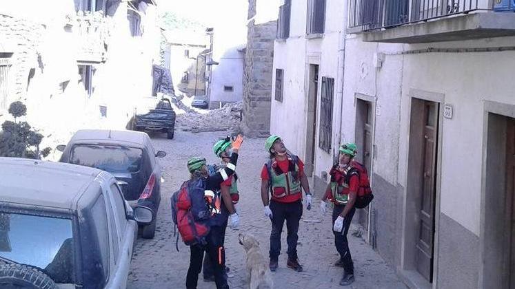 Goccia e Jordan, tra le macerie fiuto a quattro zampe