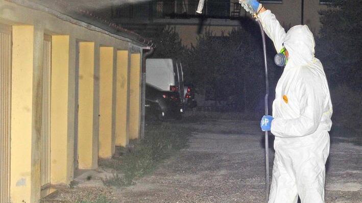Zika, paura per un caso sulla Montagna Pistoiese
