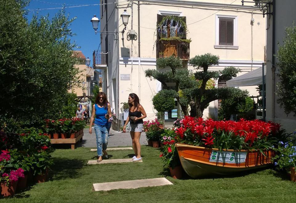 Arzachena, Estate in fiore veste di colori il centro 