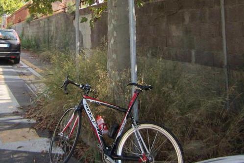 Piste ciclabili tra erbacce e degrado 