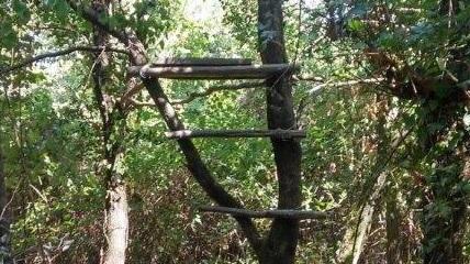 La postazione abusiva costruita dal bracconiere nel bosco