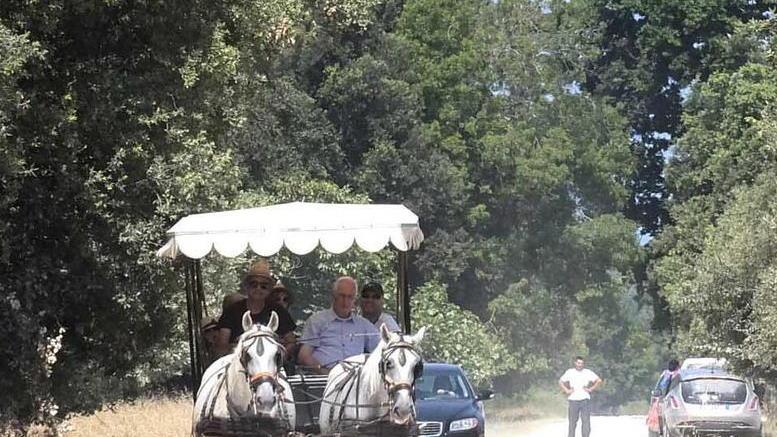 «Clientele di Mazzeo hanno voluto la testa del direttore Gennai»