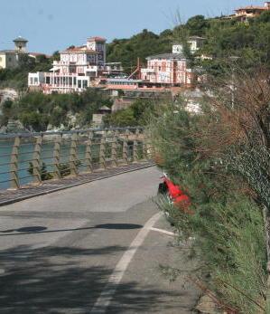 Alberi sulla ferrovia, chiusa la baia 