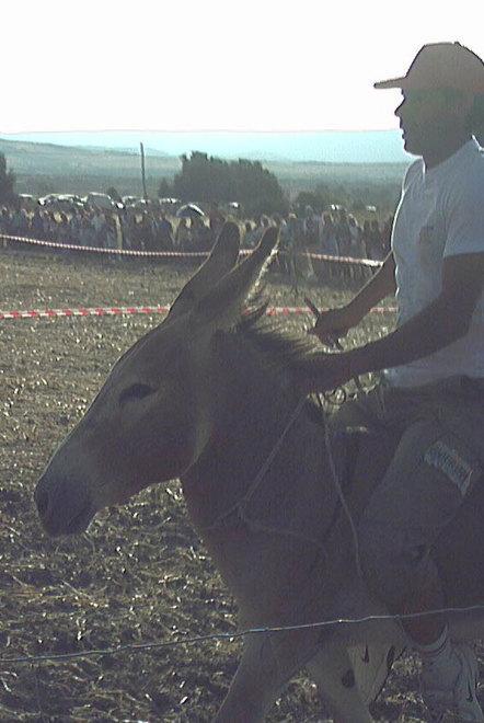 Sa Carrela de tia Rosa prima al traguardo