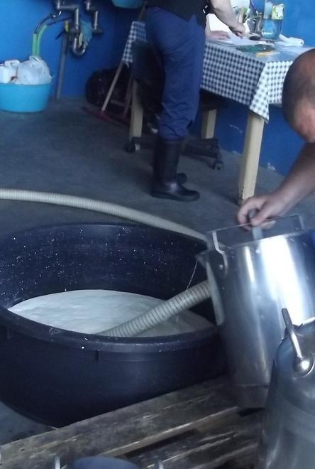 Da funghi e muffe sostanze pericolose e cancerogene