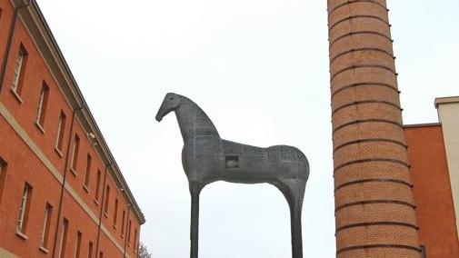 «Cavallo di Paladino È stupendo, resti lì»