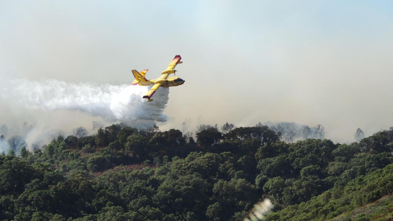 Canadair all'opera sulle fiamme