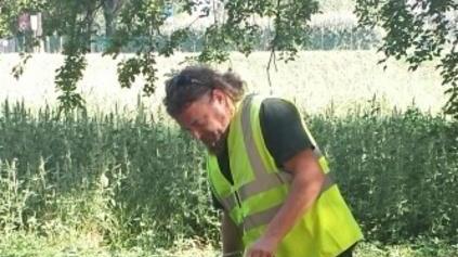 La mappa della pulizia: «Gad più brigosa, meglio Bacchelli»