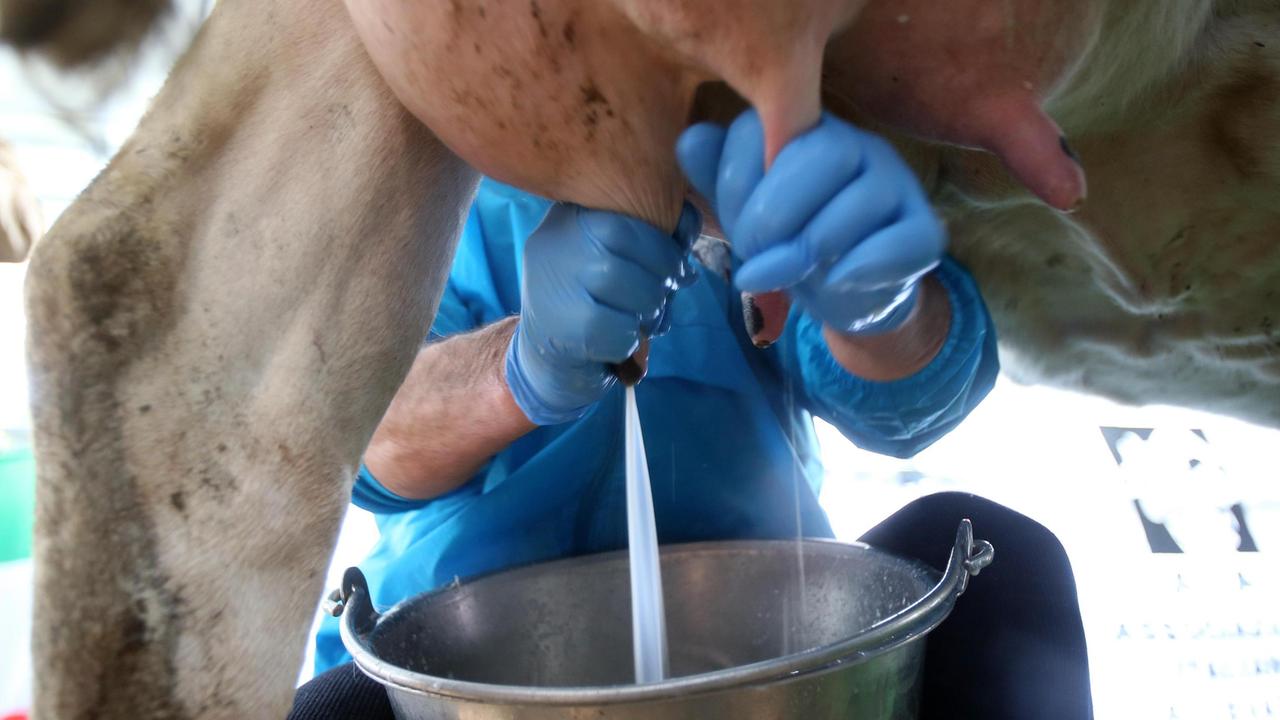 Mangime contaminato nell’isola, partono i controlli della Asl