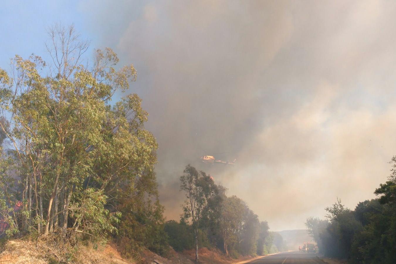 L'incendio alle porte di Alghero (foto Roberto Gabrielli)