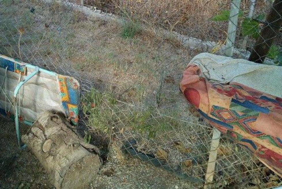 Raid nella colonia felina Gatto ucciso a bastonate 