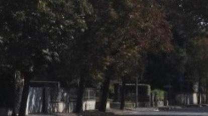 Oggi via alla sperimentazione della corsia riservata ai bus