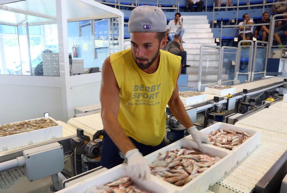 Torna il pesce fresco ma solo per pochi 