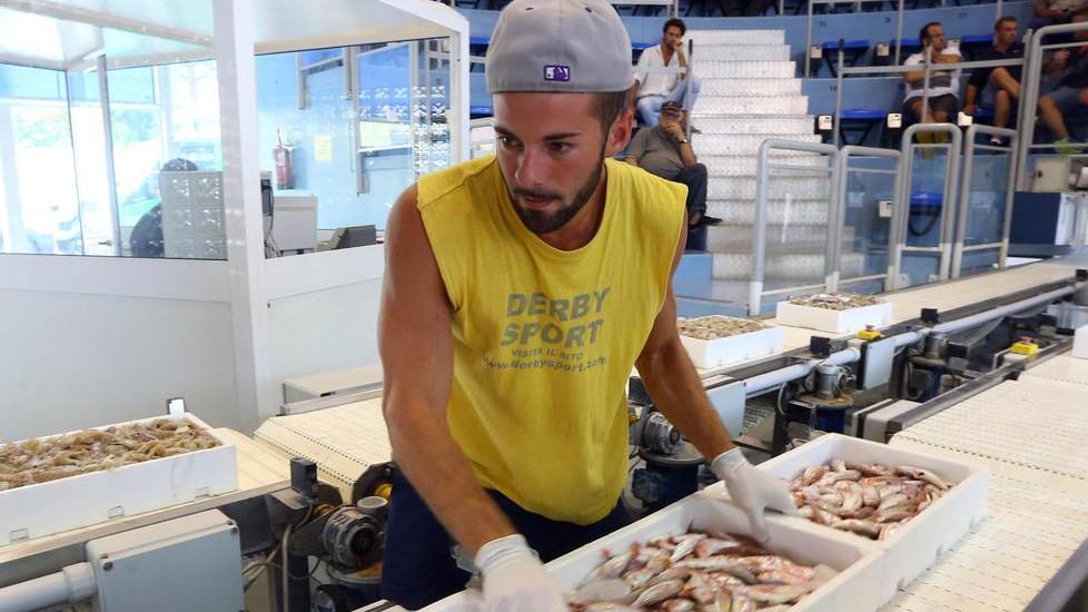 Torna il pesce fresco ma solo per pochi