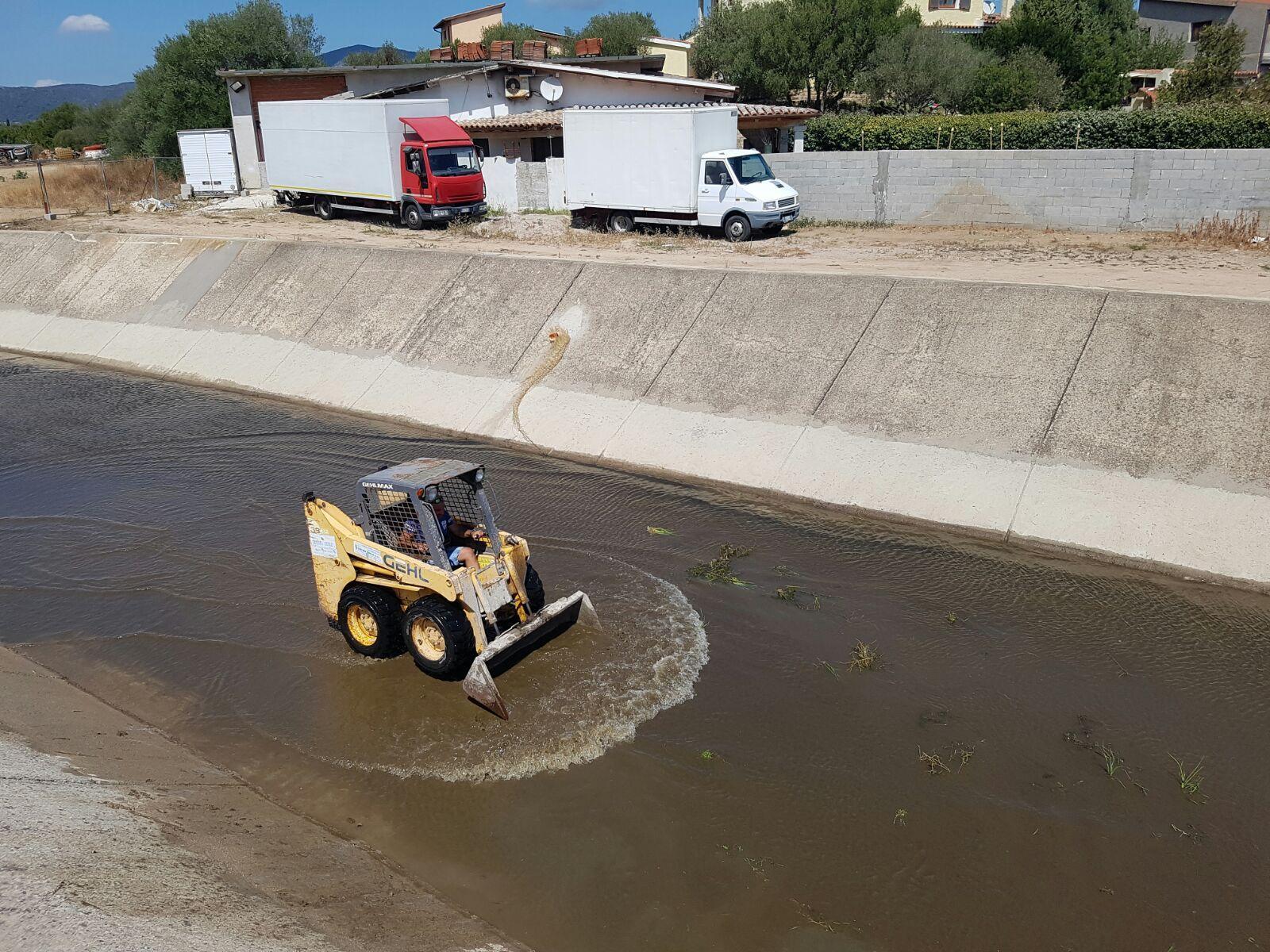 Pulizia sul Rio Siligheddu