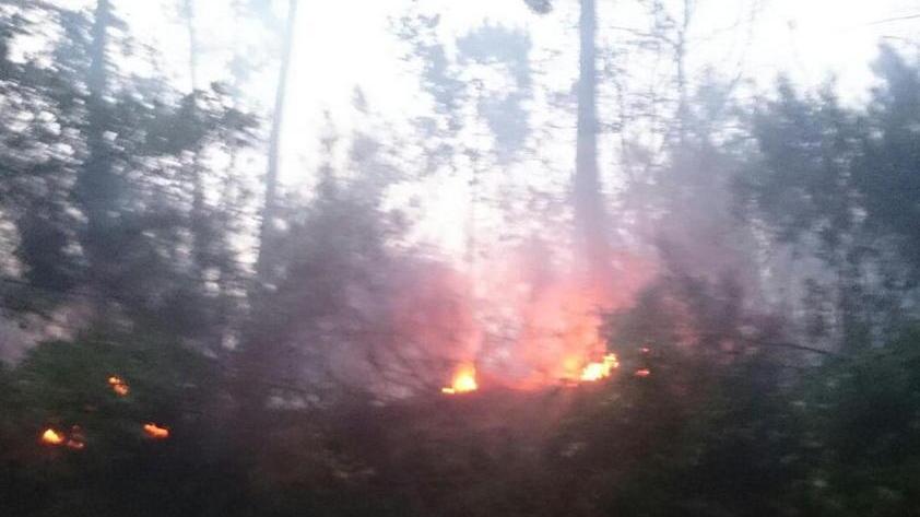 Piove ma il bosco brucia Un piromane a Pinete